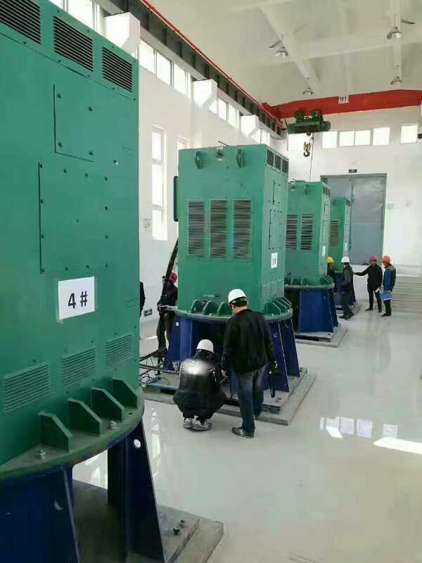 西安电机厂某污水处理厂使用我厂的立式高压电机安装现场