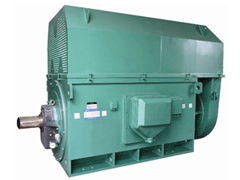 西安电机厂Y系列6KV高压电机